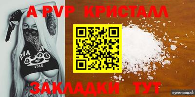 a pvp Рыбинск