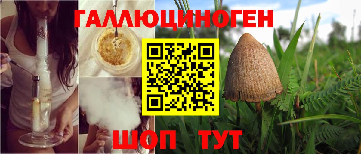 Псилоцибиновые грибы прущие грибы Отрадное