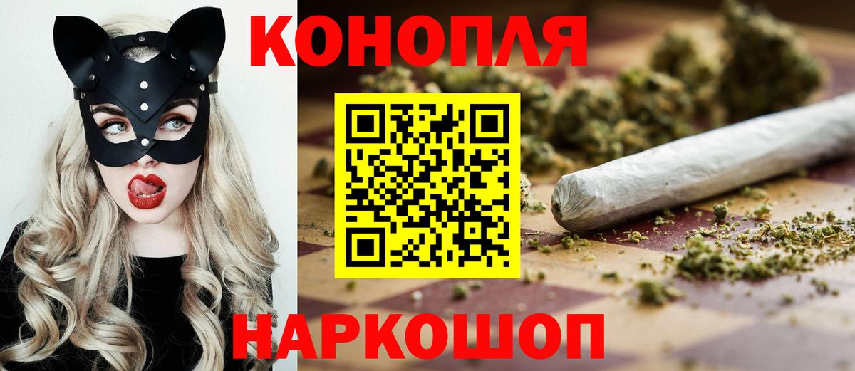 Каннабис планчик Отрадное